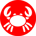 crabe